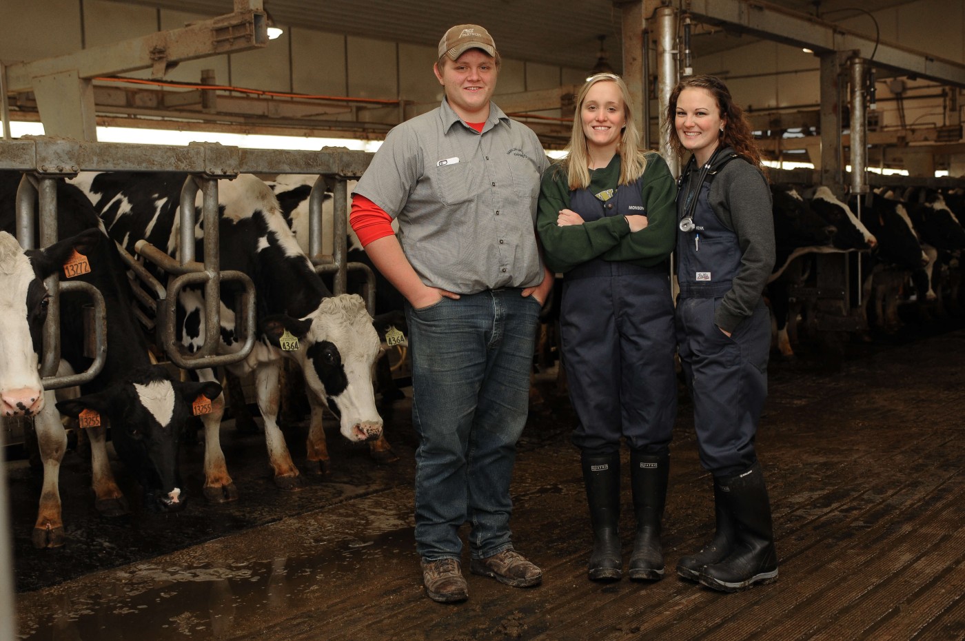 Dairy Business Management 