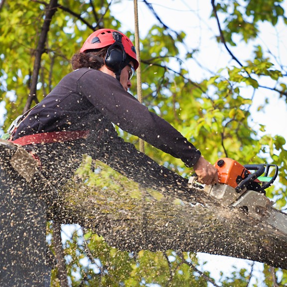 WTCS Unleashed WebImage Callout3 v2